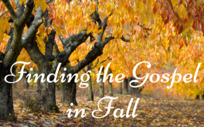 Finding the Gospel in Fall