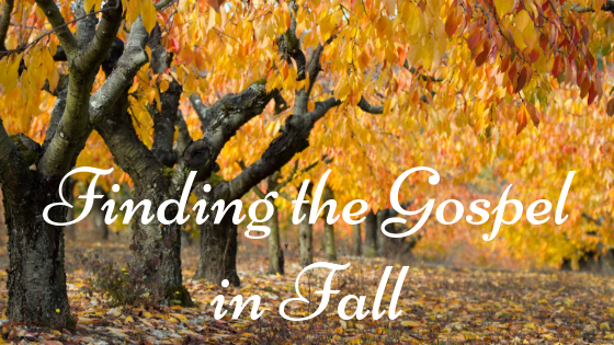 Finding the Gospel in Fall