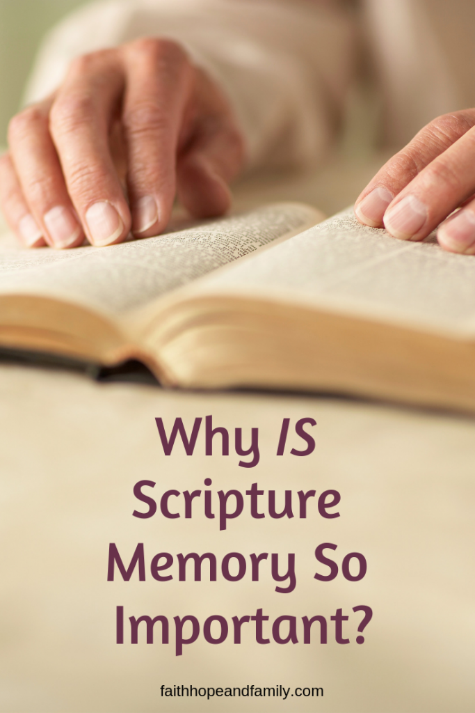 Teaching children scripture memory can be a guide to parents by giving the "why" answer to expectations and preparing them for victory against temptation.
