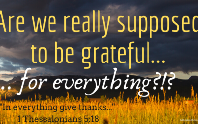 Am I really supposed to be grateful for … everything???